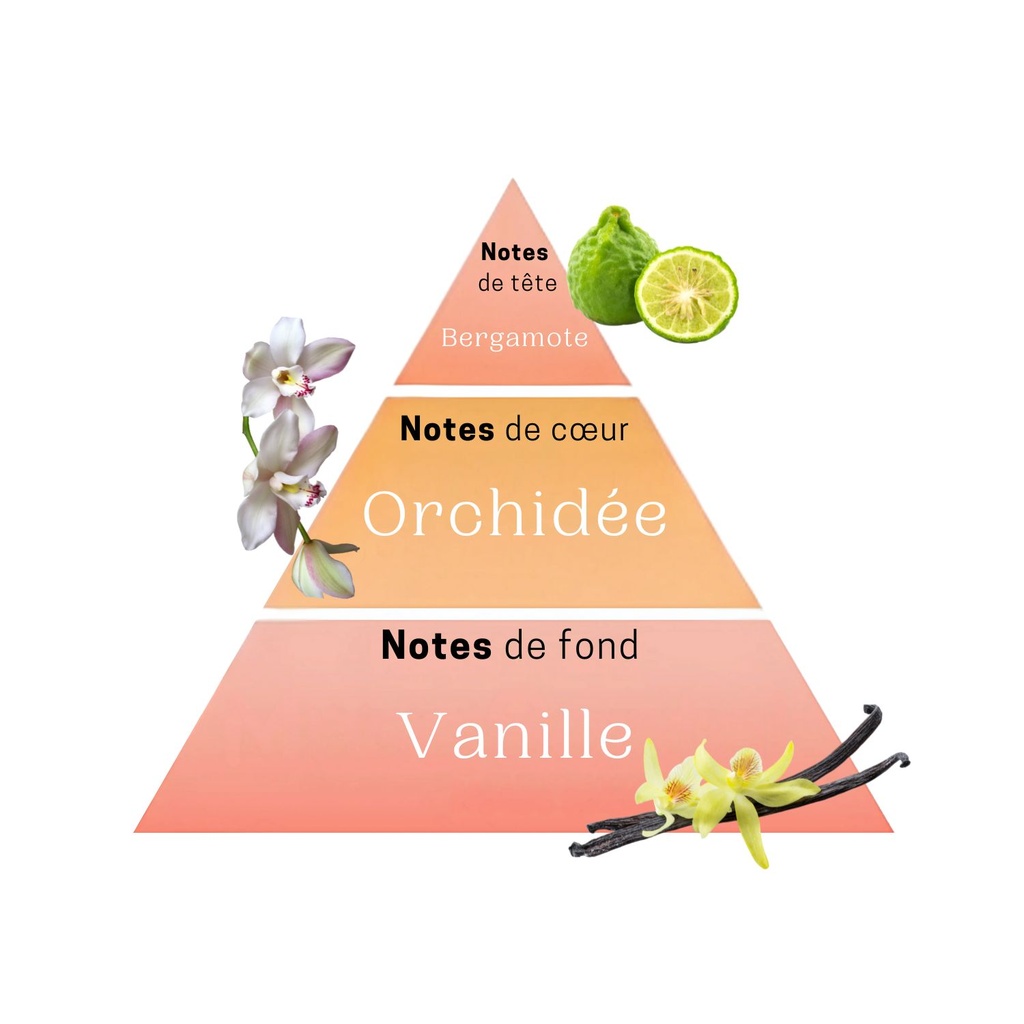 parfum dupy jasmine pear 50 ml