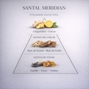 parfum dupy santal meridian 50 ml